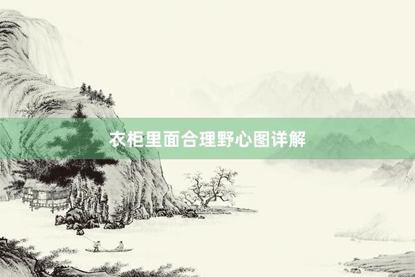 衣柜里面合理野心图详解