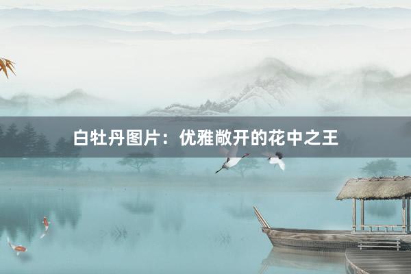 白牡丹图片：优雅敞开的花中之王